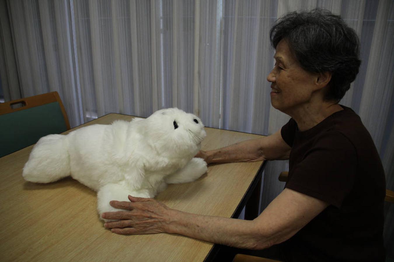 Resultado de imagen para Miraikán de Tokio, FOCA