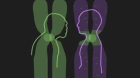 Encuentran en nuestro genoma ADN de un antepasado desconocido