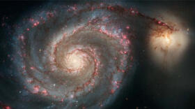 ¿El primer planeta extra galáctico?