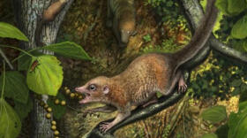 «La vida después de los dinosaurios»