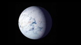 ¿Cómo aguantó la vida la super glaciación ‘Tierra bola de nieve’?