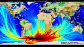 Un ‘terremoto invisible’ causó el tsunami global de 2021