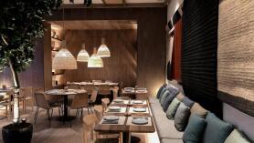 Saona Ramón y Cajal