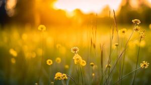 Meditación en audio: cómo relajar mente y cuerpo para tener un buen verano