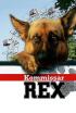 Rex, un policía diferente - Prueba Mortal