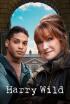 Harry Wild - Episodio 5