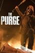 The Purge - ¿Qué es América?