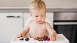 Te facilitamos el Baby Led Weaning con estas recomendaciones
