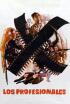 Los profesionales