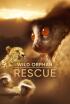 Rescate de animales bebé