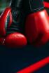 Boxeo: velada Ogawa vs Cordina