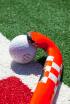 Copa del Rey de hockey hierba