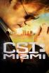 C.S.I.: Miami - Avión a la vista