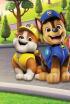 La patrulla canina Single Story - La patrulla salva al pingüino perdido