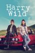 Harry Wild - Luces, cámara, asesinato