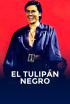 El tulipán negro