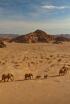 Kalahari, l&#39;altra llei de la selva