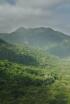Tayrona