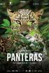 Panteres