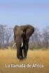 La llamada de África