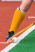Copa de la Reina de hockey hierba