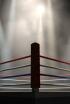 Boxeo: velada Bivol vs Broadhurst