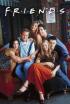 Friends - El de la hermana de Rachel