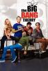 Big Bang Theory - La congruencia maternal