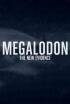 Megalodón: la nueva evidencia