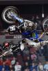 Freestyle Motocross