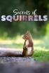 Els Secrets Dels Esquirols
