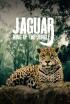 Jaguar, el rey de la jungla