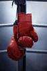 Boxeo: velada Rivera vs Bailey