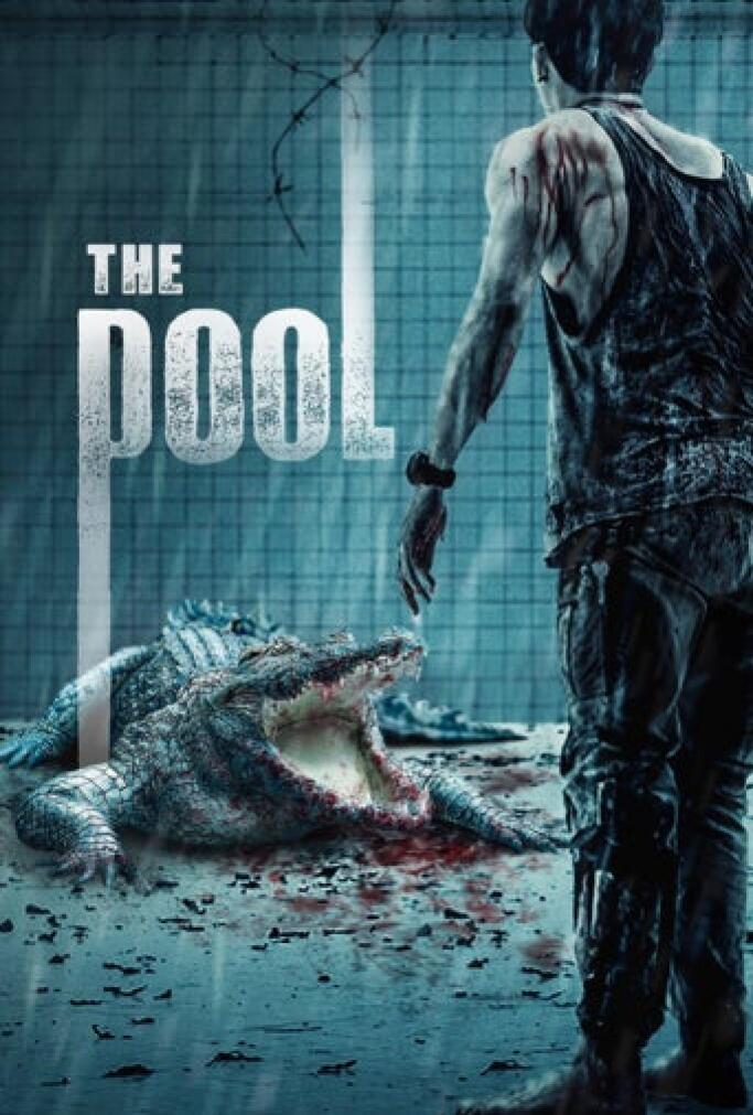 The Pool Película Completa