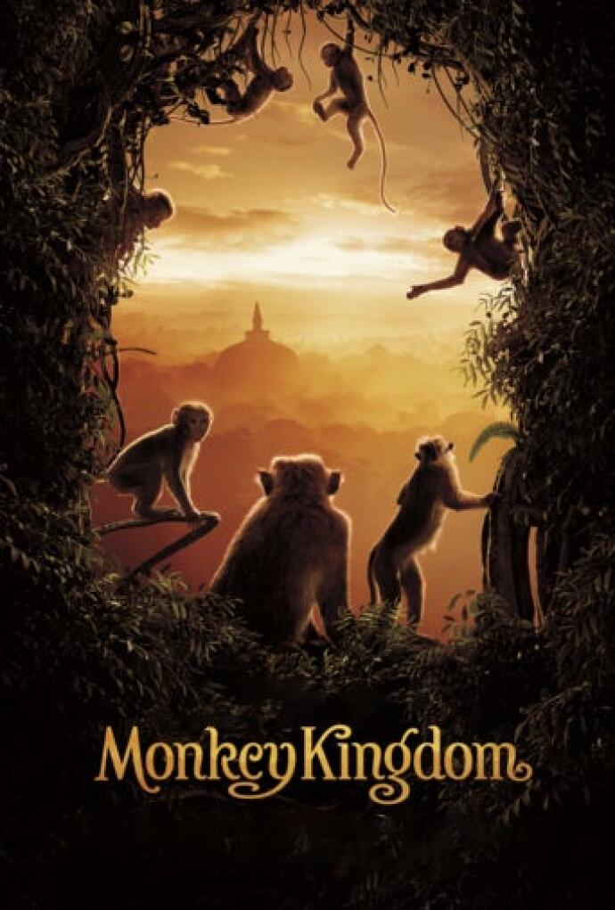 El Reino De Los Monos 2015 Pelicula Play Cine