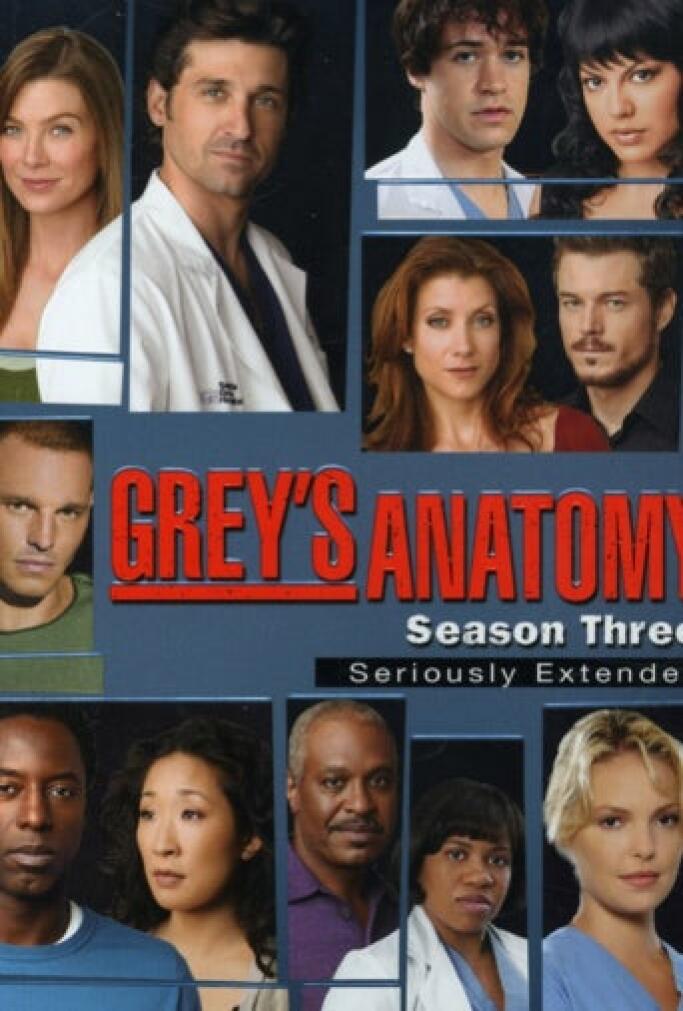 Anatomía De Grey Temporada 17 Capítulo 1