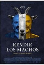 Rendir los machos